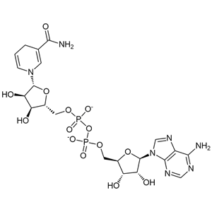 還原型煙酰胺腺嘌呤二核苷酸二鈉鹽