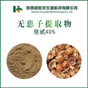 無(wú)患子提取物 皂甙40%