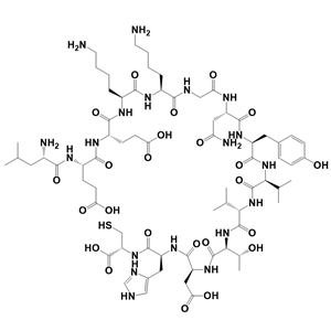 EGFRvIII peptide PEPvIII