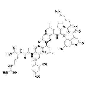 MMPs substrate Fluorogenic熒光底物肽