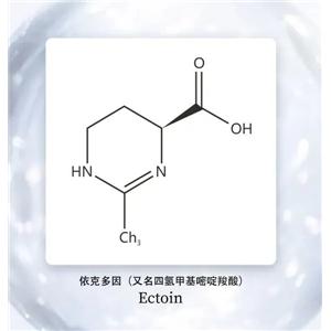 依克多因