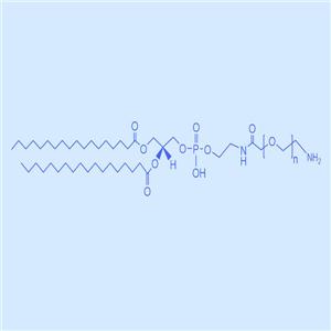 二硬脂?；字Ｒ掖及?聚乙二醇-氨基