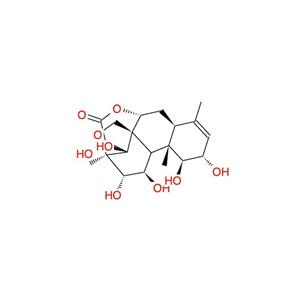 鴉膽子素E Bruceine E 21586-90-3