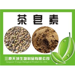 茶皂素98%  65% 綠茶提取物