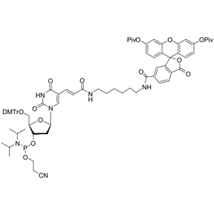 6-FAM-dT 亞磷酰胺