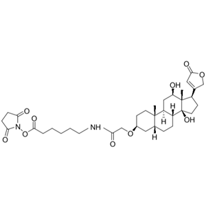 地高辛NHS酯