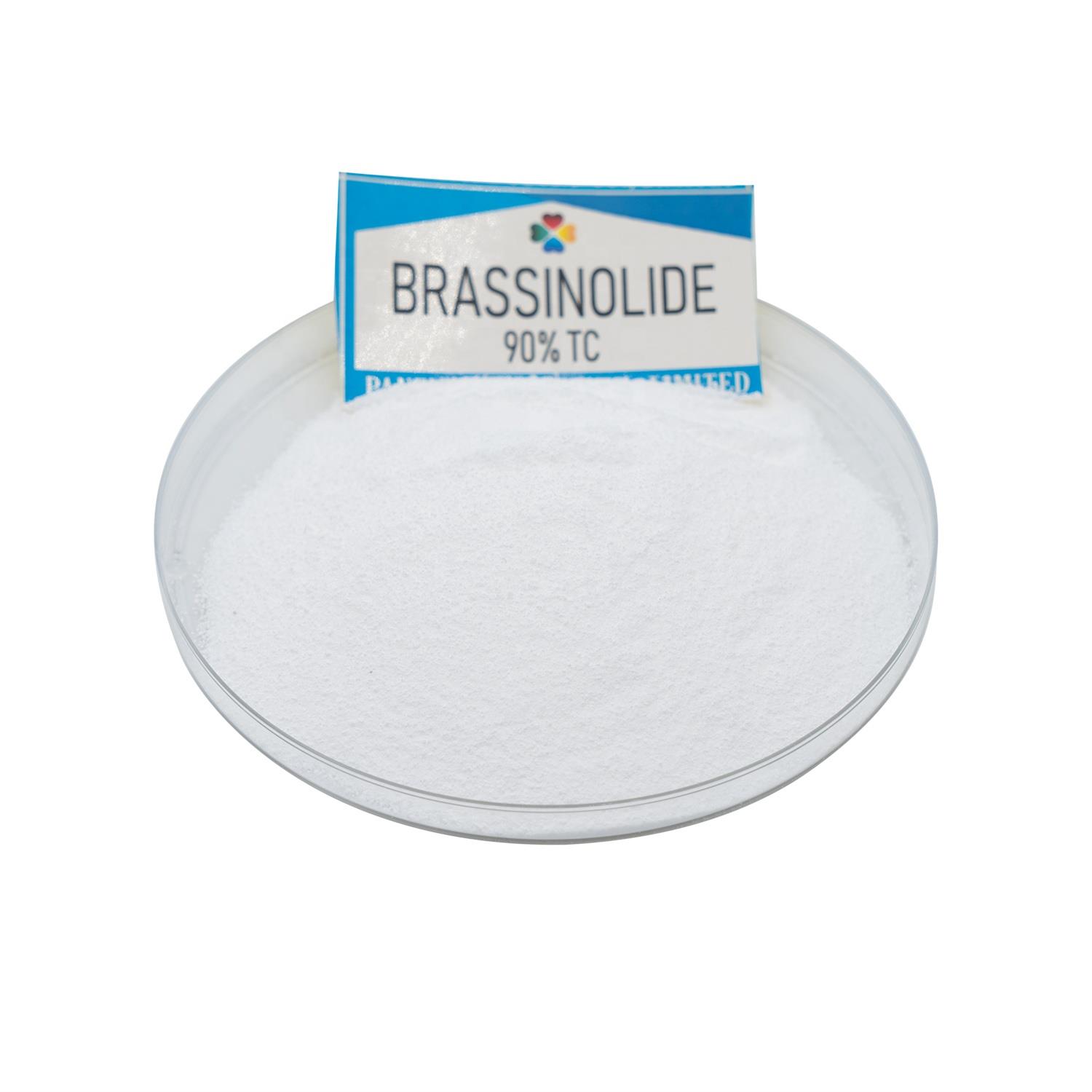 brassinolide.jpg