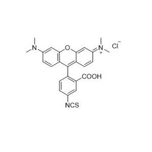 四甲基羅丹明-5-異硫氰酸酯   80724-19-2