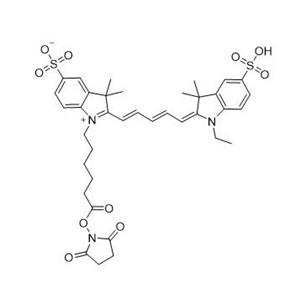 Sulfo-Cy5 NHS酯   146368-14-1