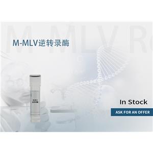 M-MLV 逆轉(zhuǎn)錄酶