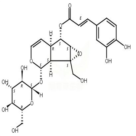 梓醇6-咖啡酸酯