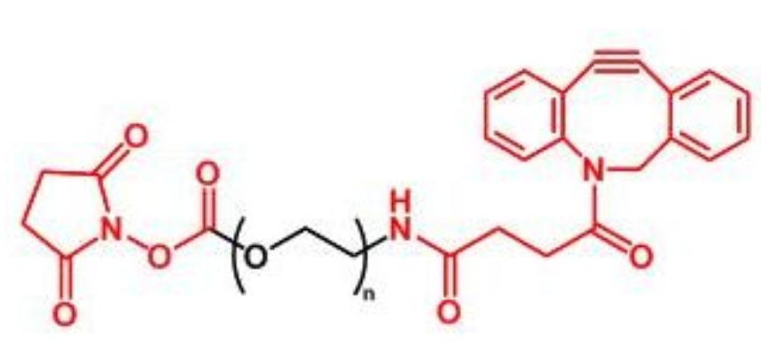    NHS-PEG-DBCO