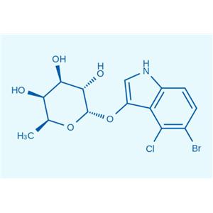 5-溴-4-氯-3-吲哚 α-L-吡喃巖藻糖苷