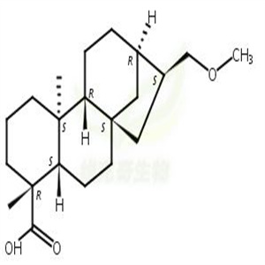 豨薟醚酸