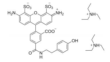 AF488 tyramide.png