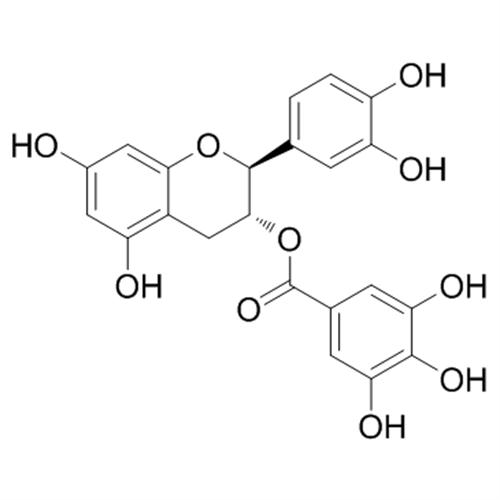 (-)-Catechin gallate ((-)-Catechin 3-gallate).png