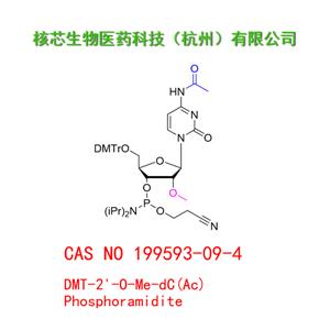 DMT-2'-O-Me-dC(Ac) Phosphoramidite 工廠大貨