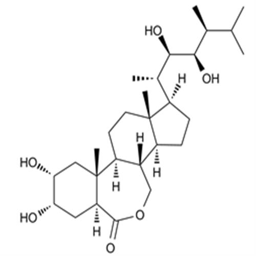 Brassinolide.png