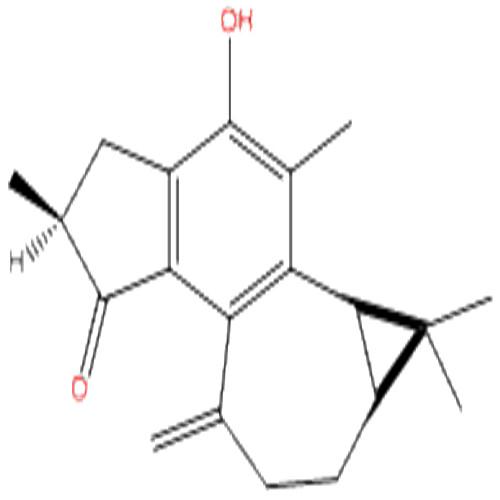 麻楓樹(shù)酚酮B.jpg