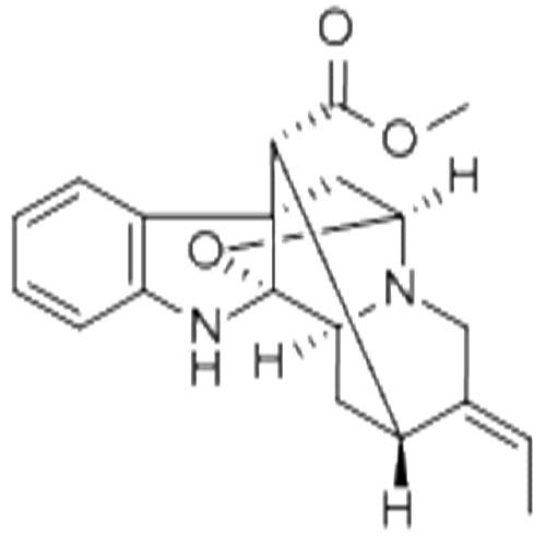 鴨腳樹葉堿.jpg