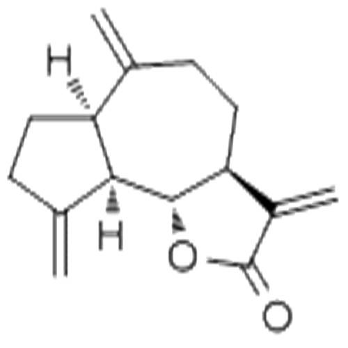 去氫木香內(nèi)酯.jpg