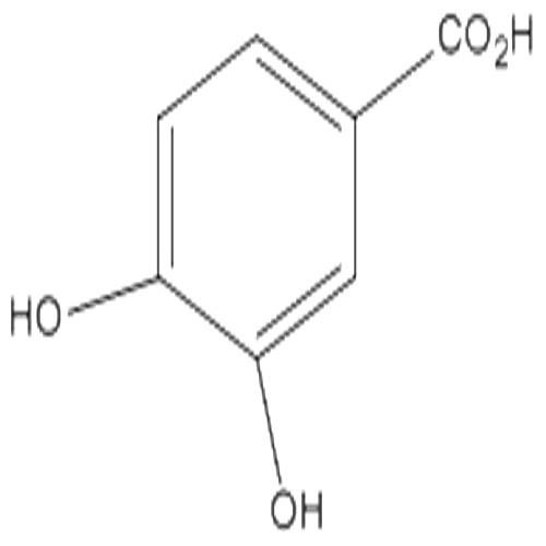 原兒茶酸.jpg