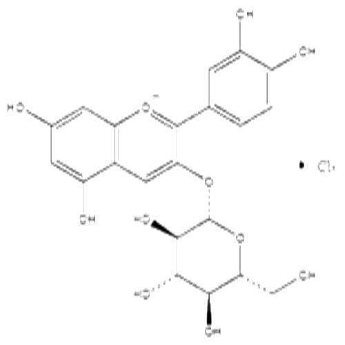 矢車菊素-3-O-葡萄糖苷.jpg