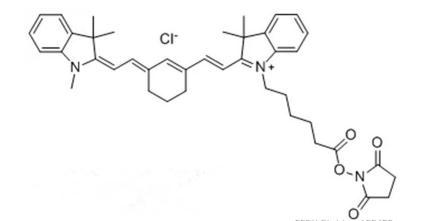 CY7-馬來(lái)酰亞胺 CY7-馬來(lái)酰亞胺
