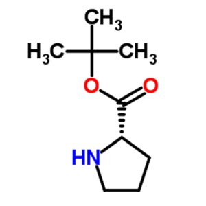 L-脯氨酸叔丁酯