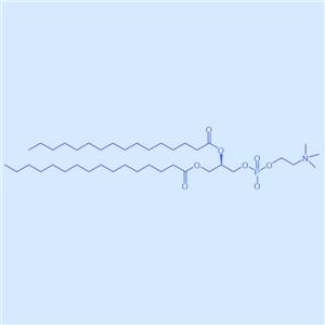 二棕櫚酸磷脂酰膽堿,DPPC,63-89-8