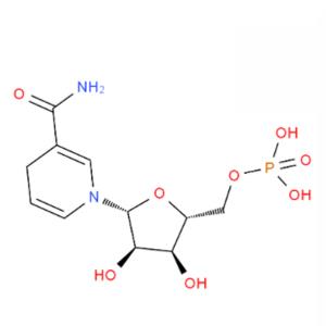 還原型煙酰胺單核苷酸（NMNH）