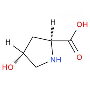 反式-4-羥基-L-脯氨酸 51-35-4 L-羥基脯氨酸