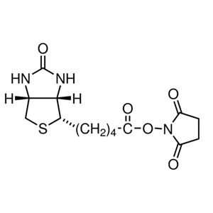 	(+)生物素-N-琥珀酰亞胺基酯35013-72-0