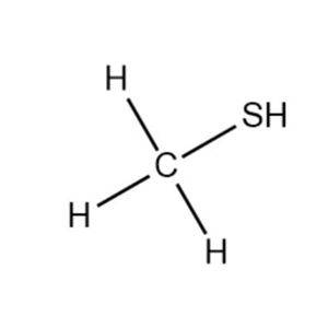 甲硫醇74-93-1
