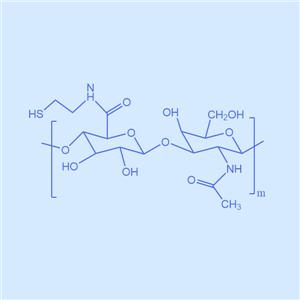 透明質(zhì)酸巰基HA-SH,HA-SH,巰基化的透明質(zhì)酸