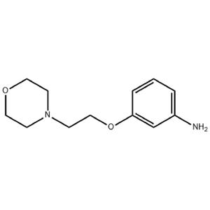 3-(2-嗎啉-4-基乙氧基)苯胺