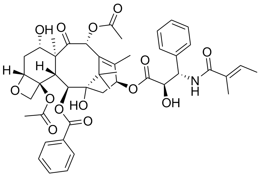 紫杉醇雜質(zhì)I