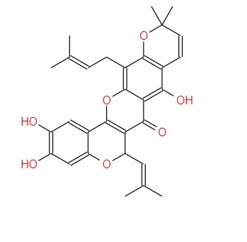 異葉波羅蜜環(huán)黃酮素