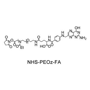 琥珀酰亞胺酯-聚(2-乙基-2-噁唑啉)-葉酸；NHS-PEOz-FA