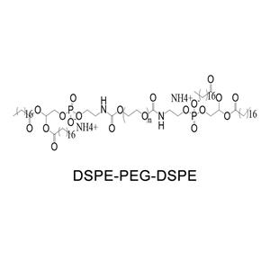 磷脂-聚乙二醇-磷脂；DSPE-PEG-DSPE