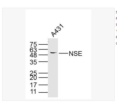 搜狗截圖23年05月15日0949_339.png