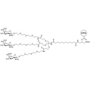 GalNAc CPG，N-乙酰半乳糖胺 CPG