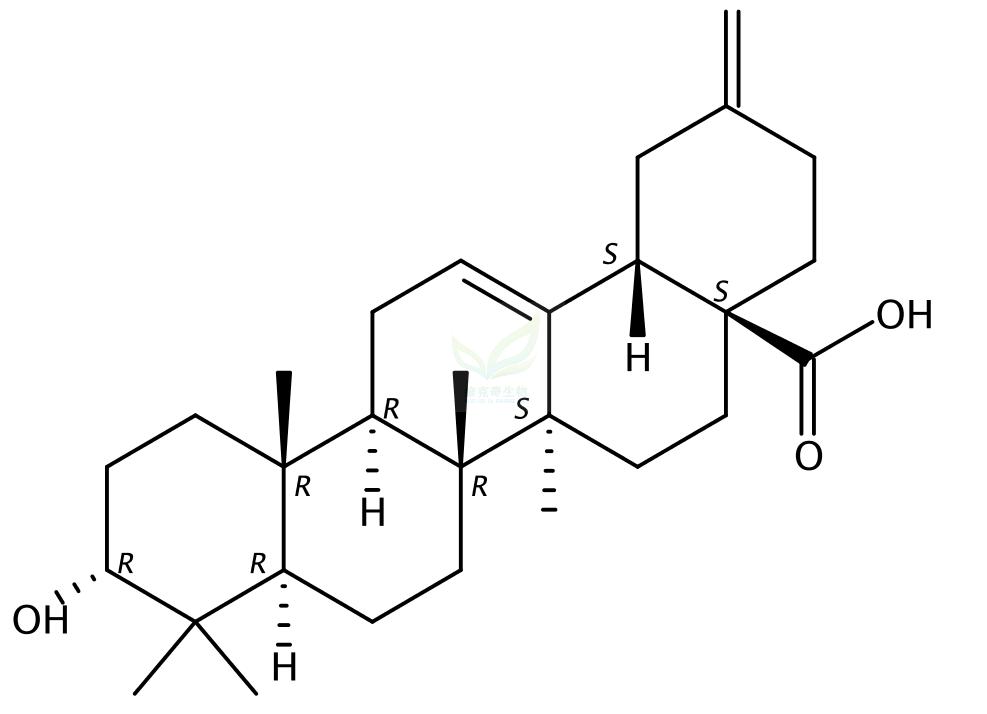 3alpha-木通萜酸