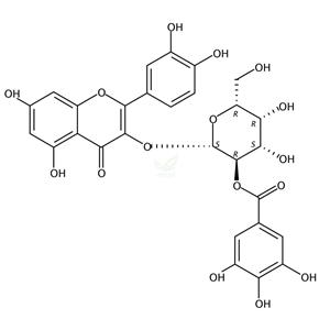 2′′-O-沒食子?；鸾z桃苷 