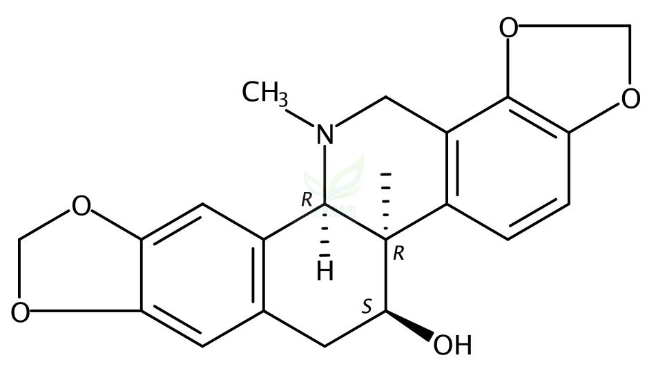 紫堇靈