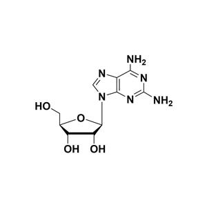 2-NH2-rA