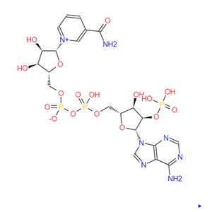 煙酰胺腺嘌呤雙核苷酸磷酸鹽，Triphosphopyridine n，53-59-8