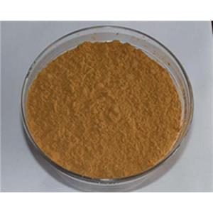 鐵皮石斛提取物10:1，多糖30%50% Dendrobium candidum extract