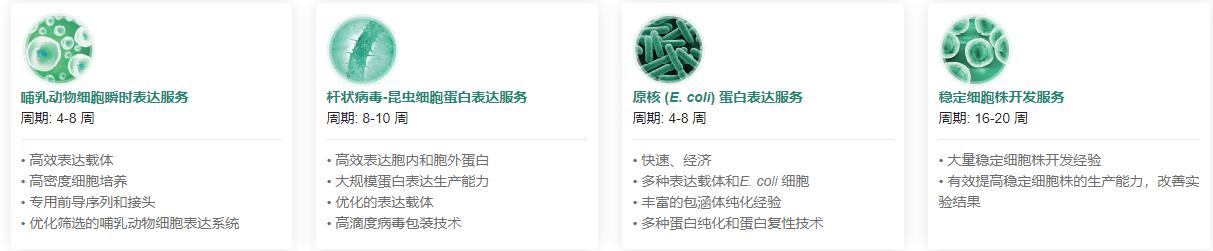重組蛋白表達服務類型.png