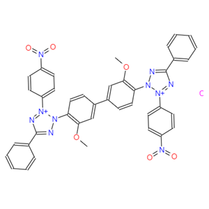 氯化硝基四氮唑蘭，NBT，298-83-9